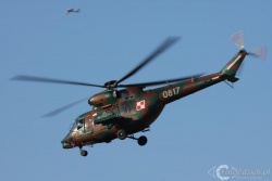 IMG 7498