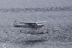Piper PA 18 Super Cub 1006