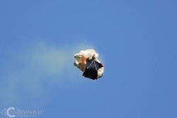 Red Bull Skydive Team 3557