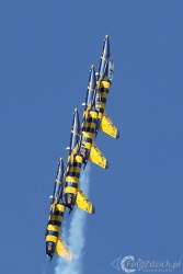 Baltic Bees Aero L 39 Albatro 9126