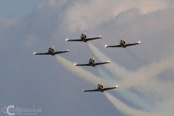 Baltic Bees Aero L 39 Albatros 9290