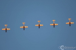 Wings of Storm Pilatus PC 9M 0501