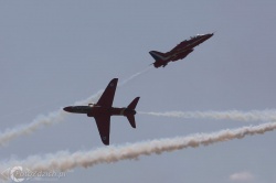 Red Arrows IMG 8816