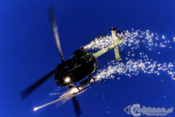 Bo 105 PL 2541