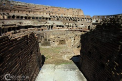 Colosseo 3391