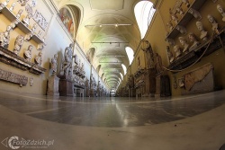 Vatican Museums IMG 2612
