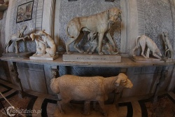 Vatican Museums IMG 2627