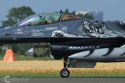 F 16 Tiger paint IMG 6441