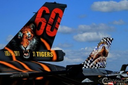 F 16 Tiger IMG 8256