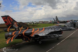 F 16 Tiger paint IMG 7273