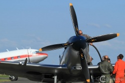 Spitfire IMG 8368