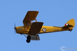 De Havilland DH 82A 4130