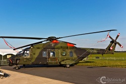 Eurocopter NH 90 3968
